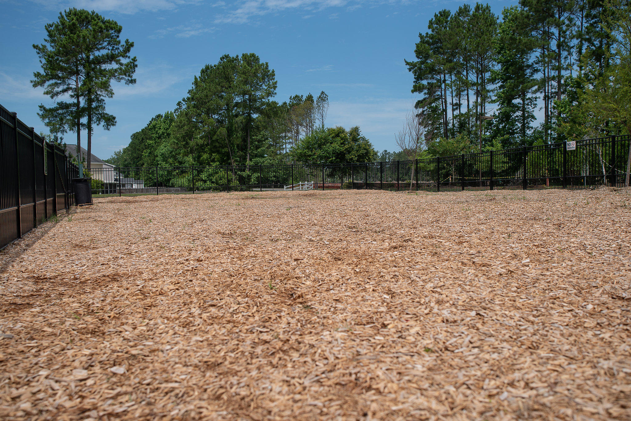 409 Allamby Ridge Road Moncks Corner, SC 29461 - Photo 42 of 43 Dog Park