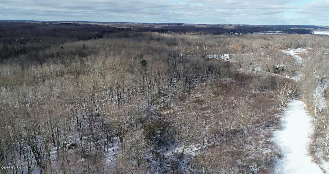 0 Madison Road Barryton, MI 49332 - Photo 6 of 11