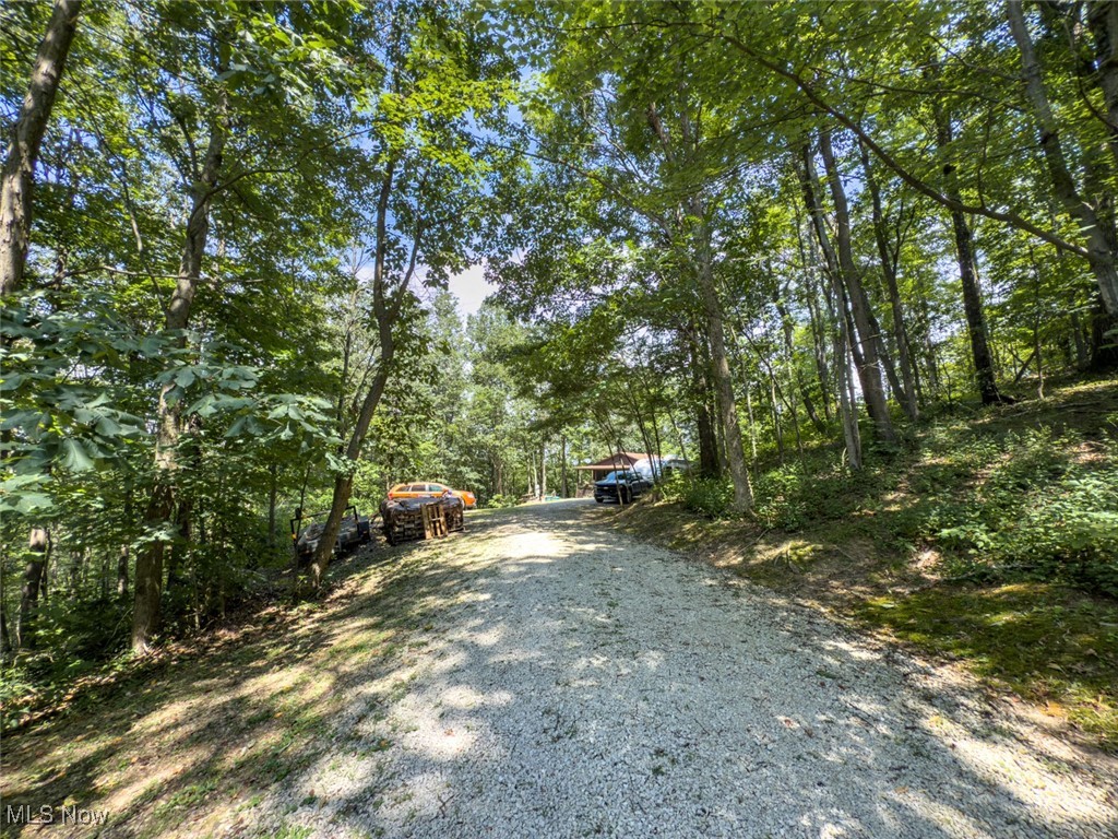 34390 Barber Ridge Road Lewisville, OH 43754 - Photo 11 of 50 View of dirt / gravel driveway featuring a forest view