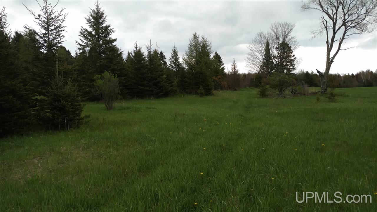 Tbd 3 Et Road Trenary, MI 49891 - Photo 4 of 6