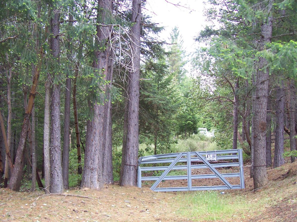 Indian Valley Road Hayfork, CA 96041 - Photo 1 of 5 a view of a backyard