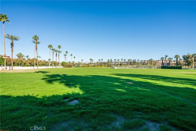 a view of a street with a large trees