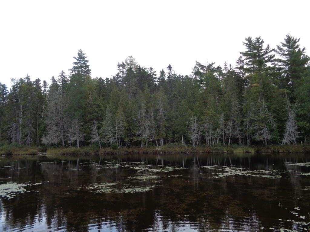 79 Dyer Road West Forks, ME 04985 - Photo 17 of 21 Photo
