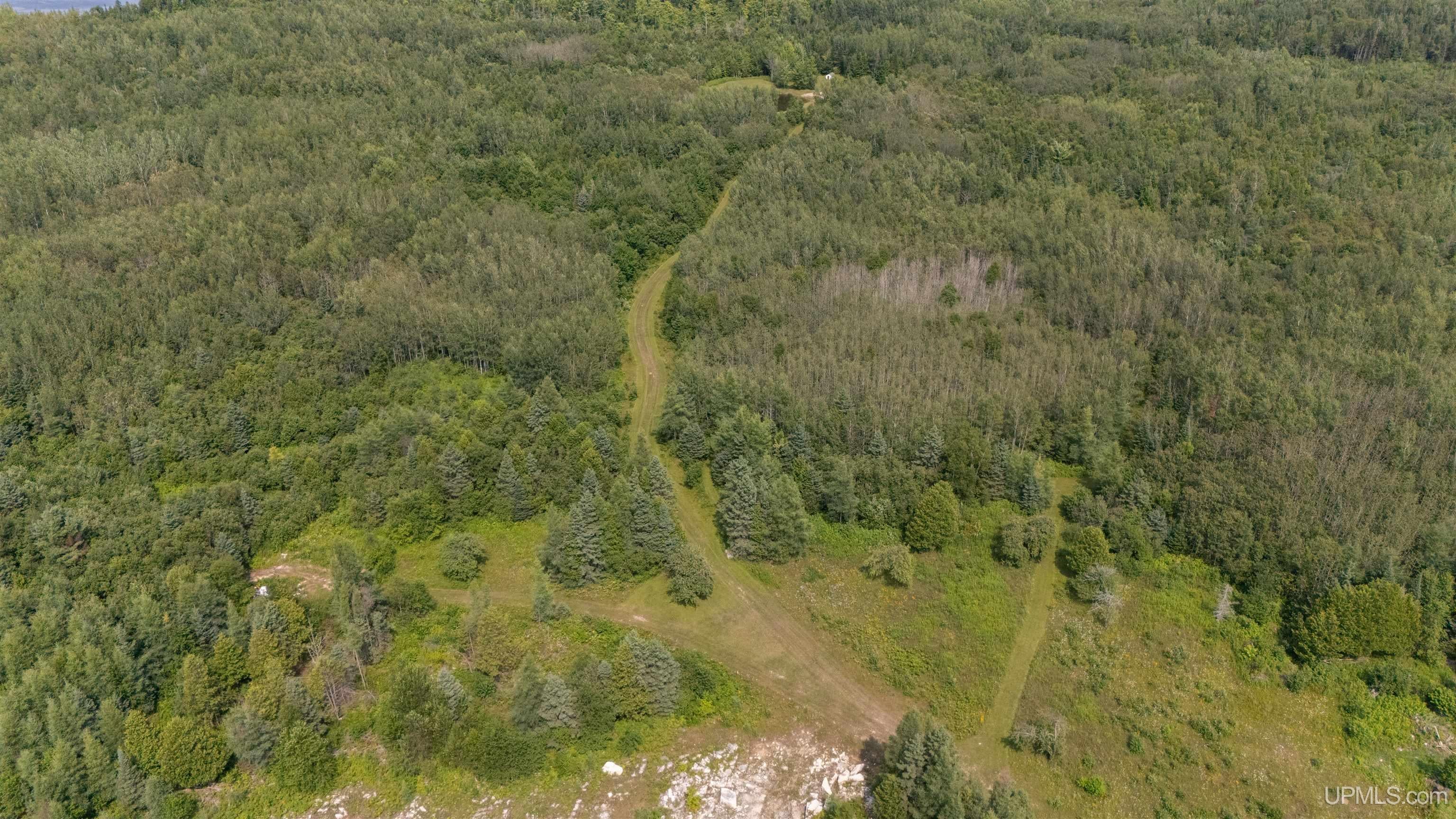 35-acres Town Line Road Gulliver, MI 49840 - Photo 7 of 23 Gallery Image 7