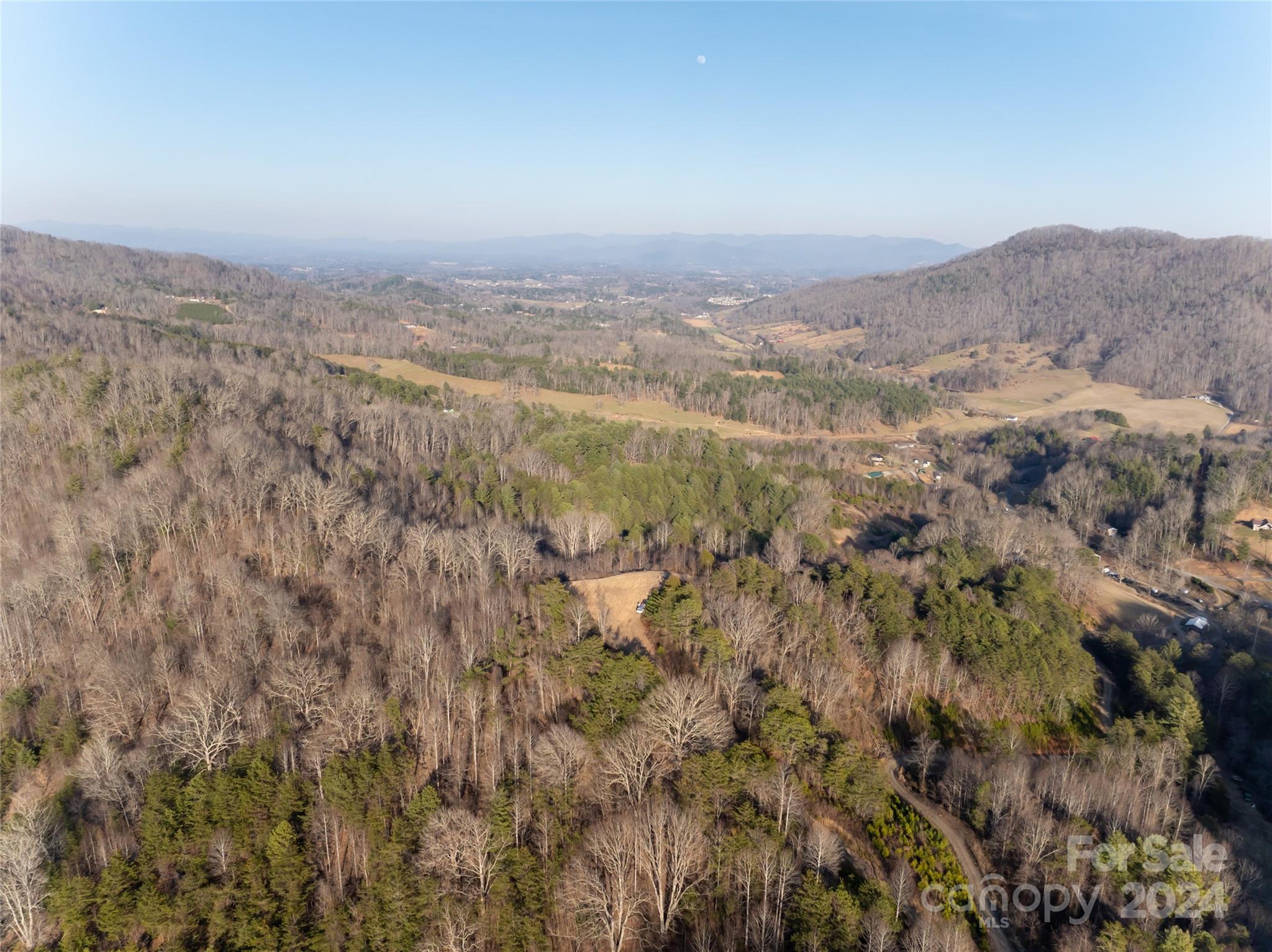 99 Greasy Cove Road Leicester, NC 28748 - Photo 14 of 23 Gallery Image 14