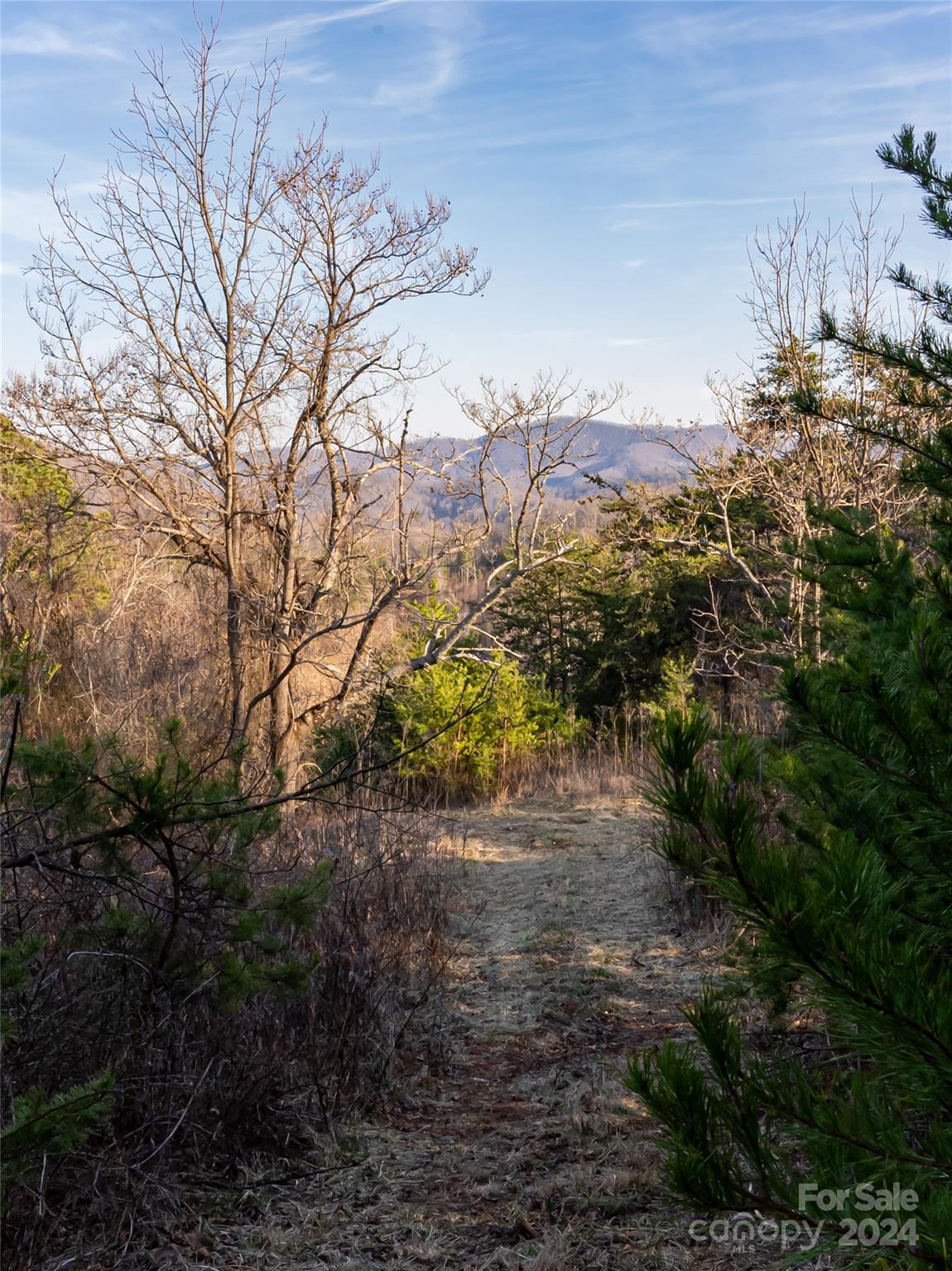99 Greasy Cove Road Leicester, NC 28748 - Photo 20 of 23 Gallery Image 20