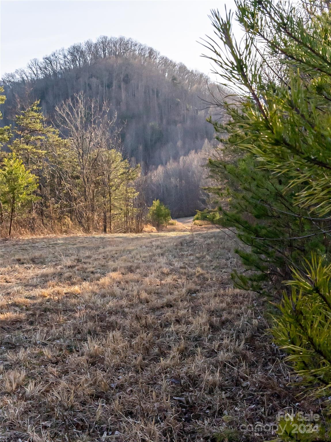 99 Greasy Cove Road Leicester, NC 28748 - Photo 21 of 23 Gallery Image 21