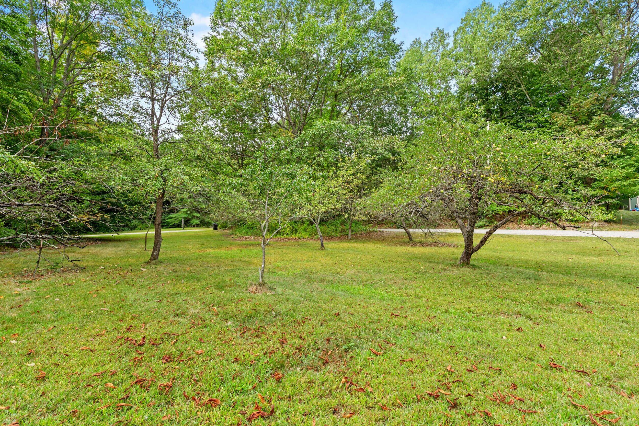 15 Read Road Windham, ME 04062 - Photo 18 of 21 15 read rd exterior-10