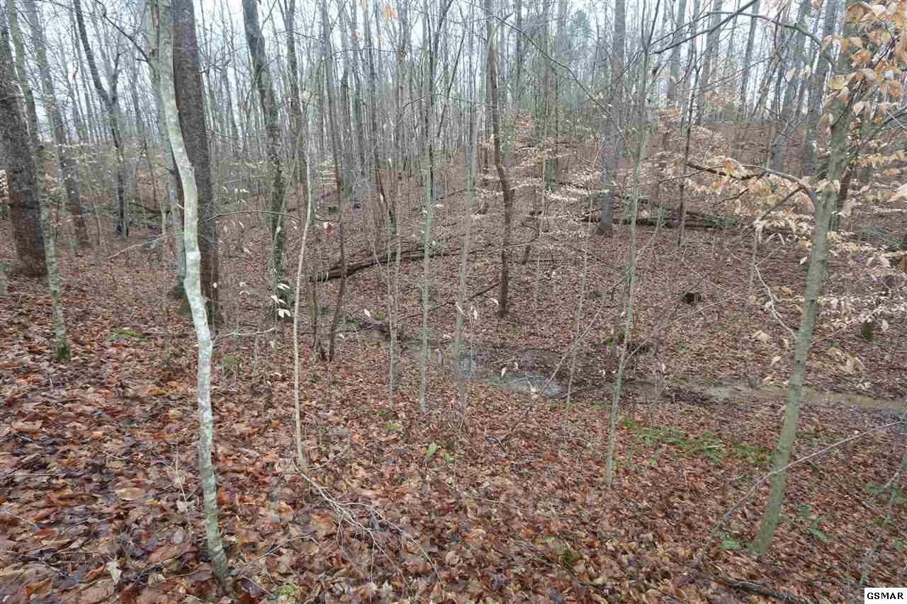 7 Sims Road Sevierville, TN 37876 - Photo 7 of 15