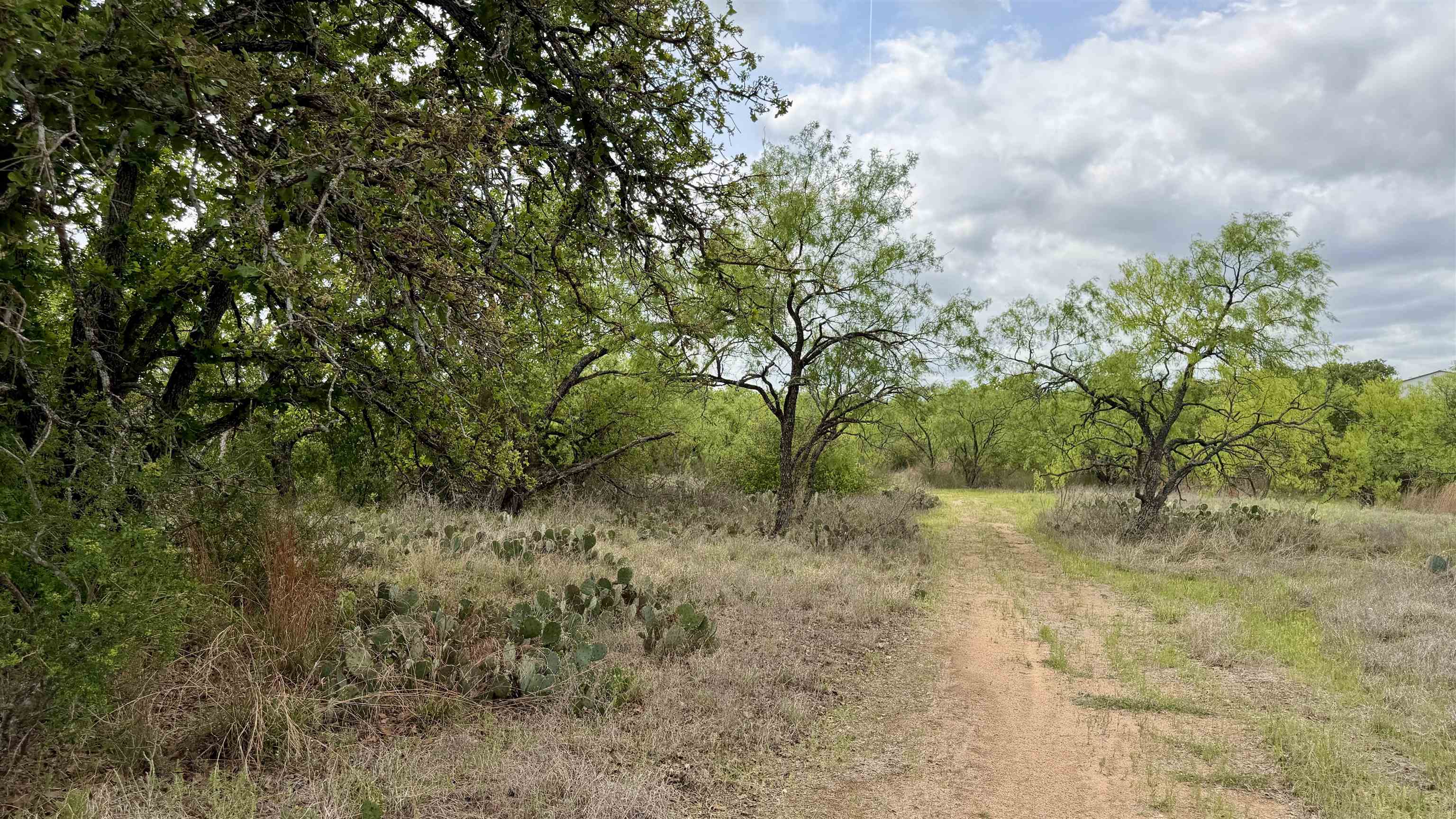 Lot 104 Ridgemont Kingsland, TX 78639 - Photo 2 of 9