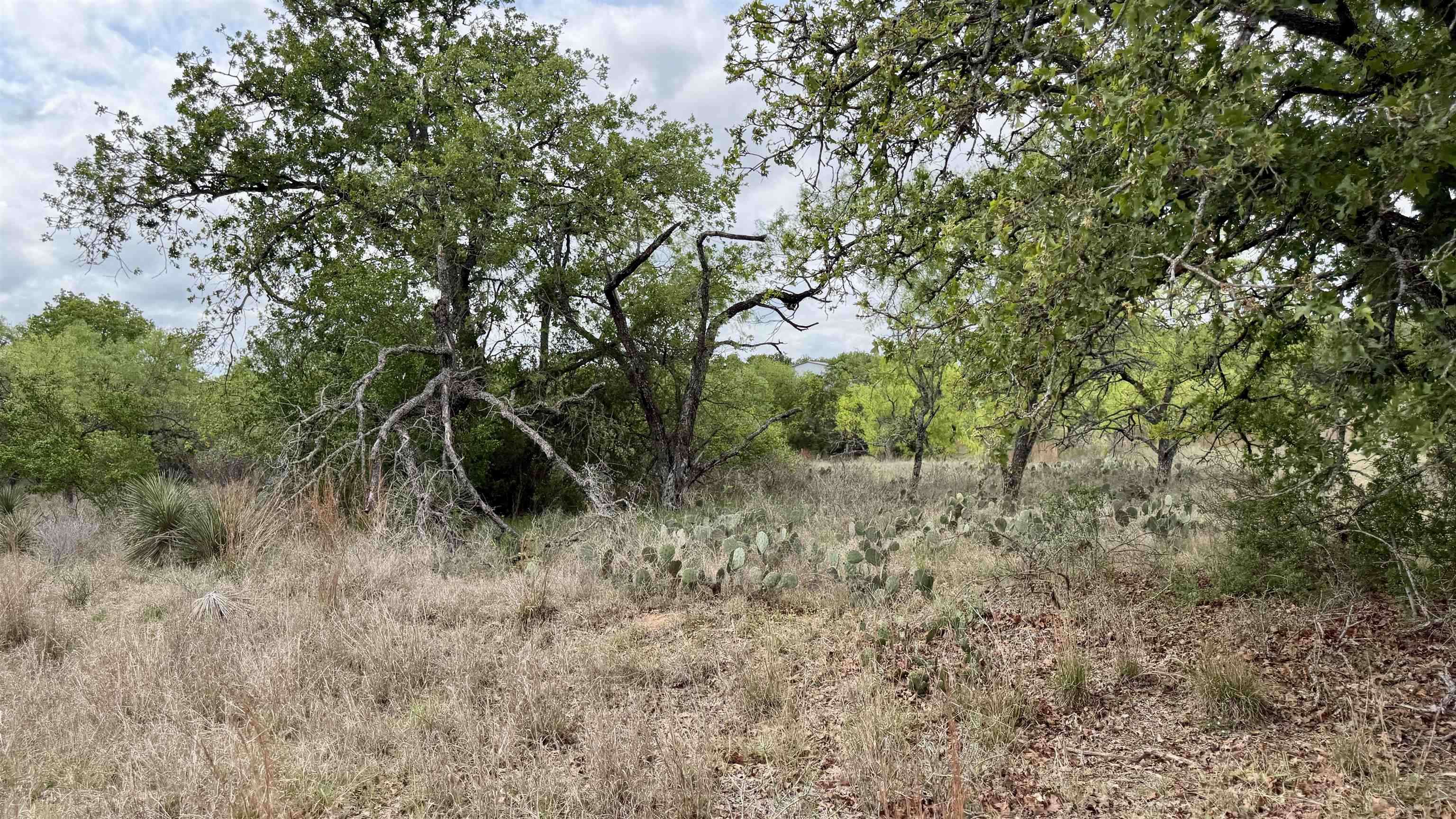 Lot 104 Ridgemont Kingsland, TX 78639 - Photo 3 of 9