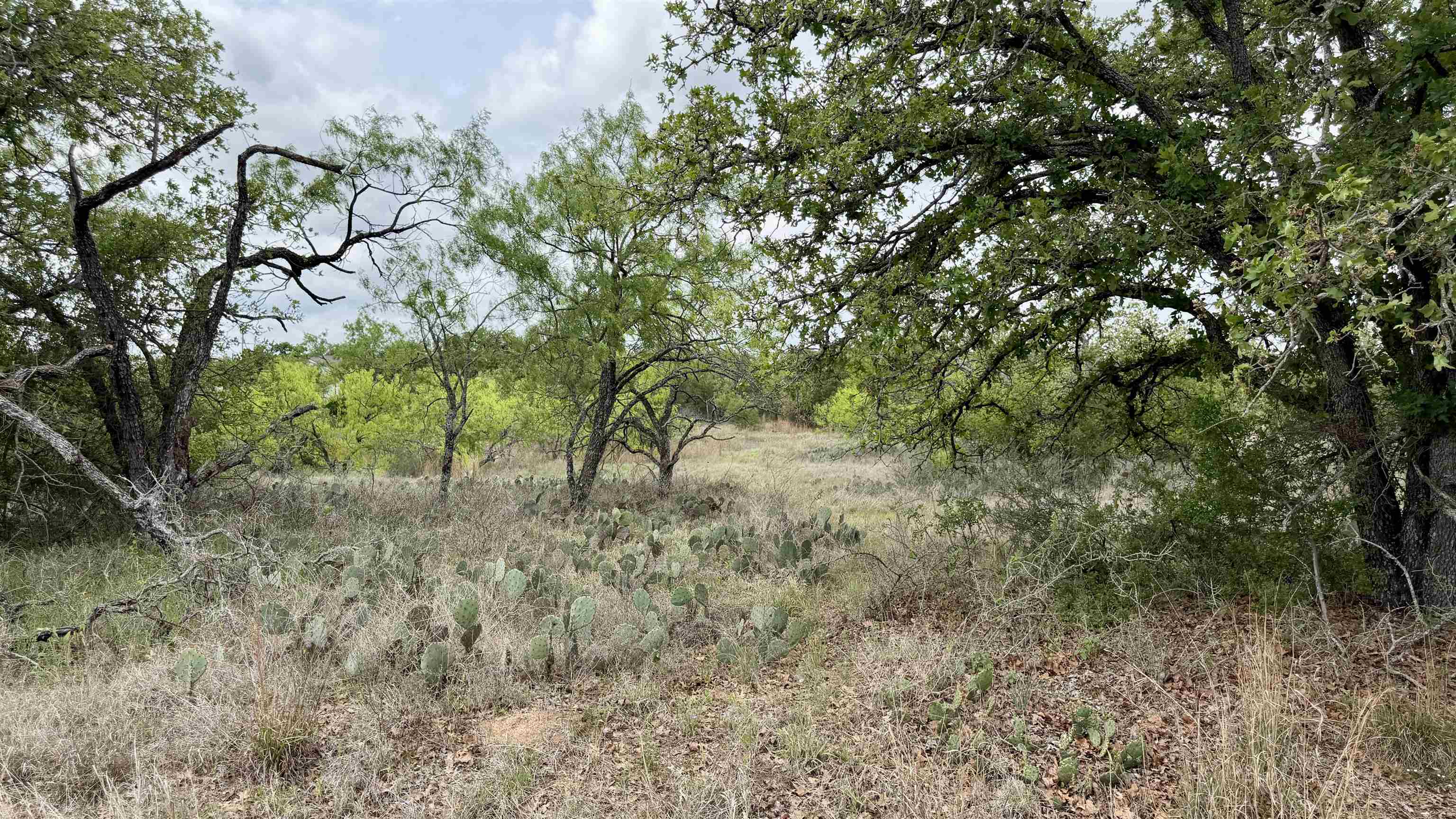 Lot 104 Ridgemont Kingsland, TX 78639 - Photo 4 of 9