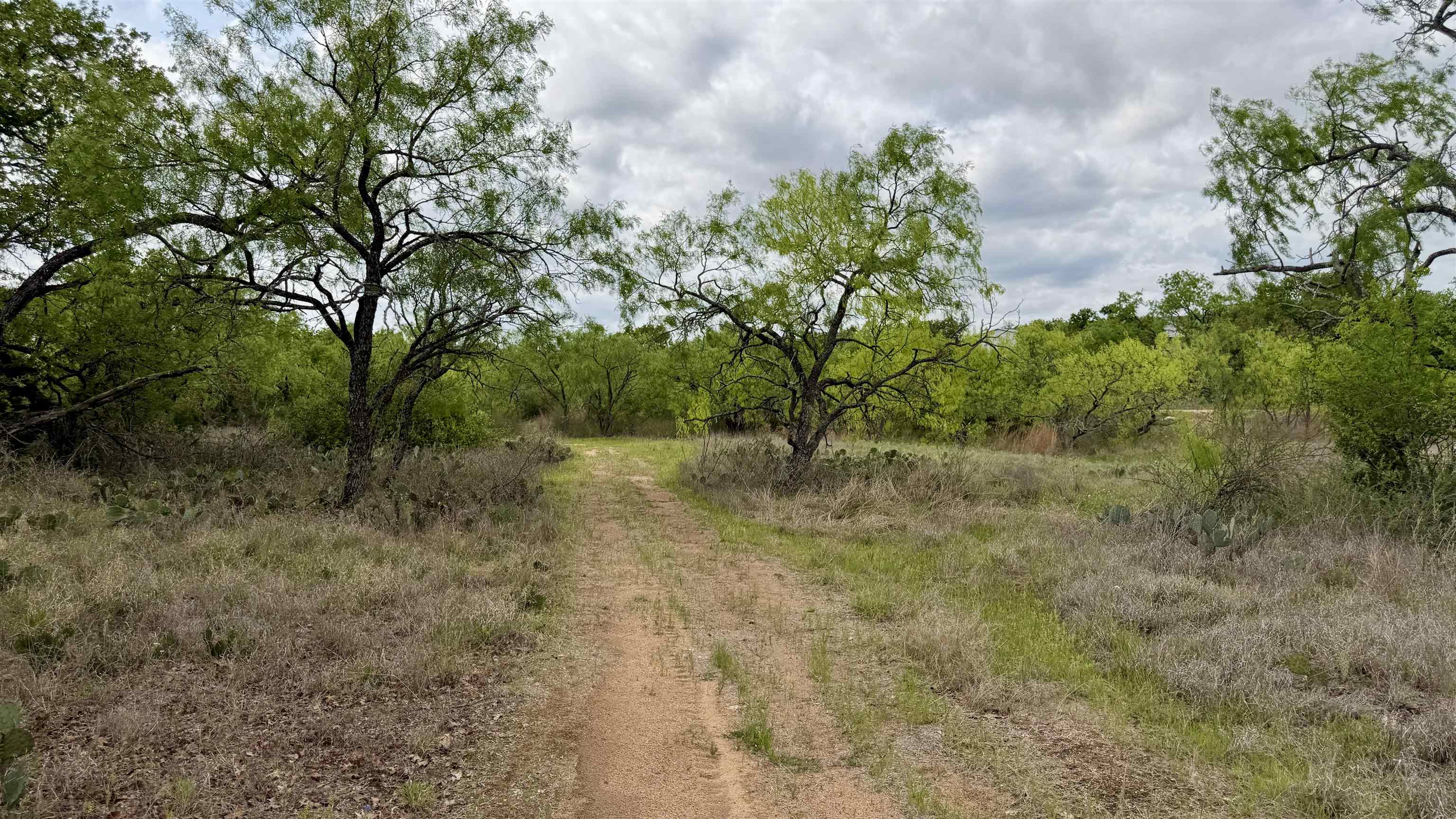 Lot 104 Ridgemont Kingsland, TX 78639 - Photo 5 of 9