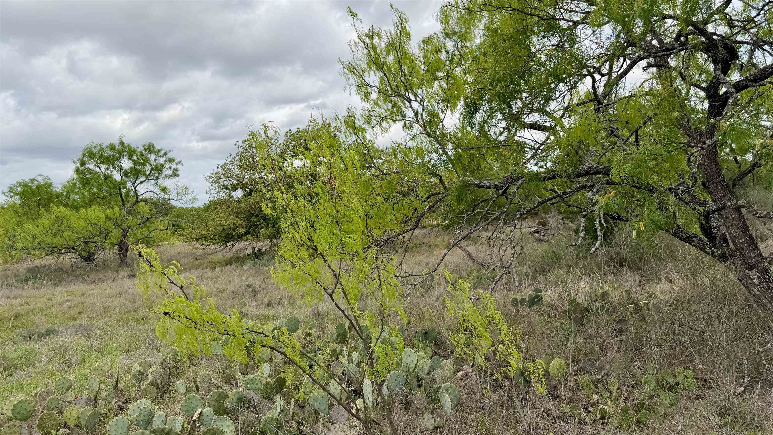 Lot 104 Ridgemont Kingsland, TX 78639 - Photo 6 of 9