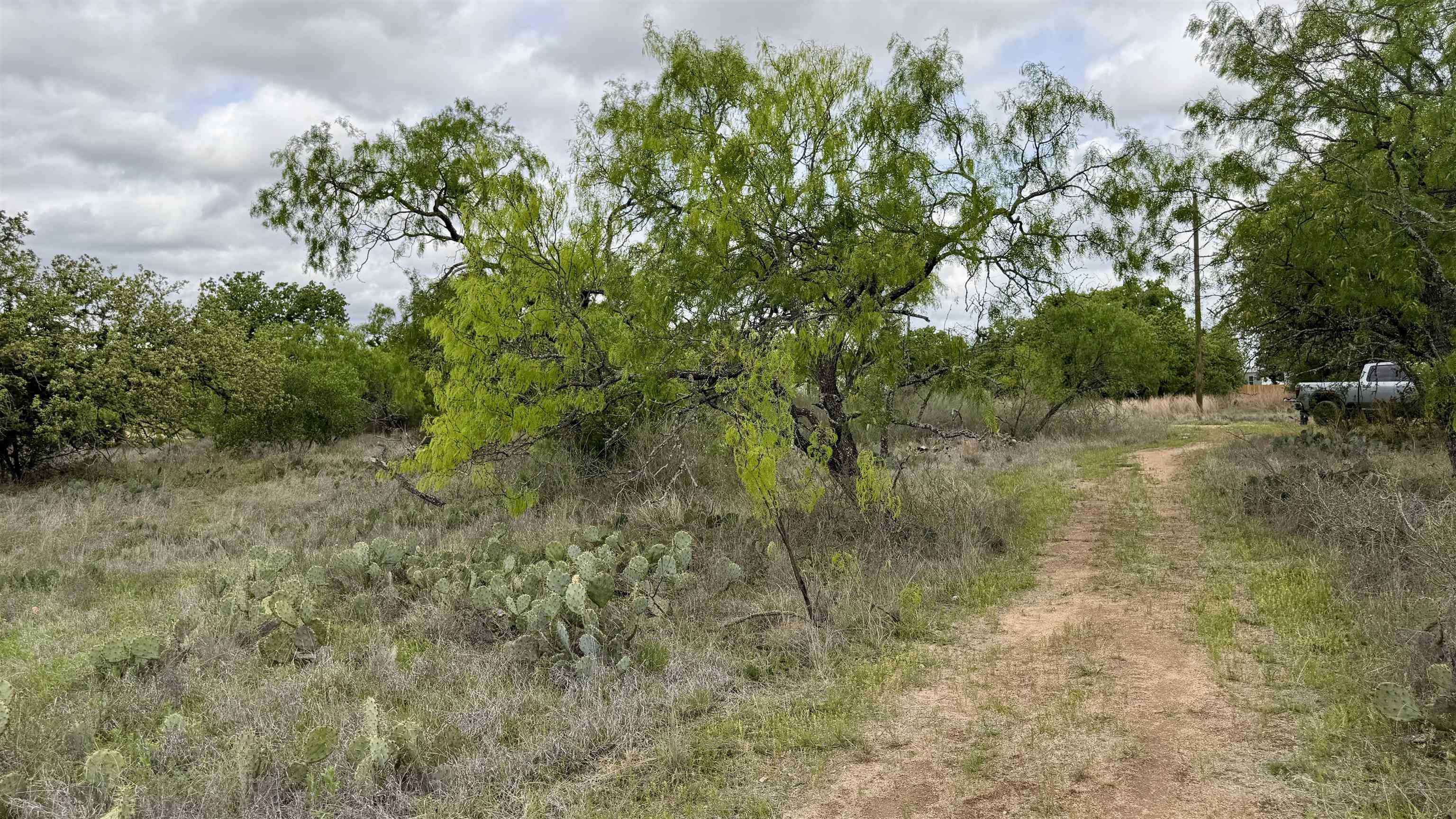 Lot 104 Ridgemont Kingsland, TX 78639 - Photo 7 of 9