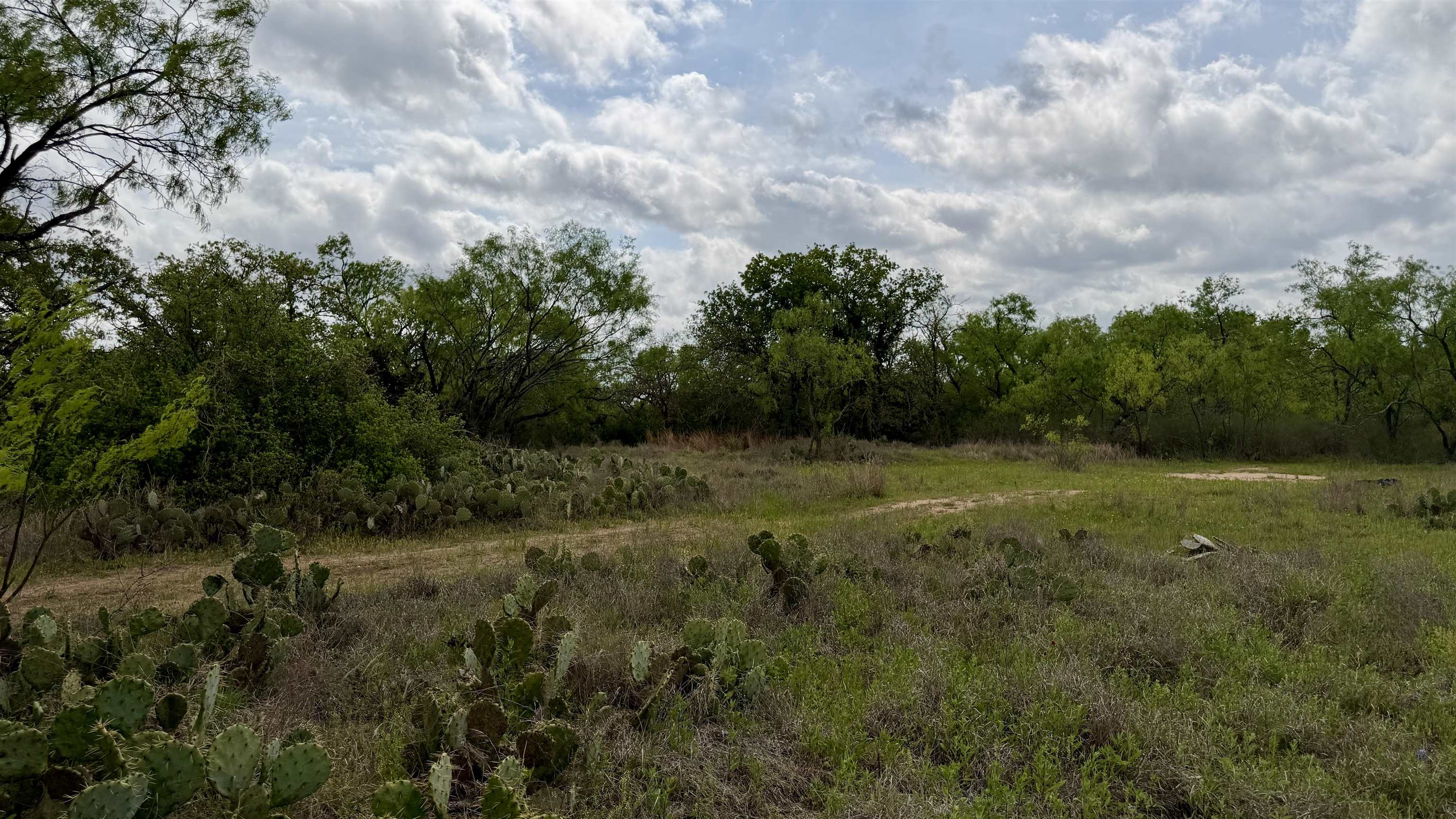 Lot 104 Ridgemont Kingsland, TX 78639 - Photo 8 of 9