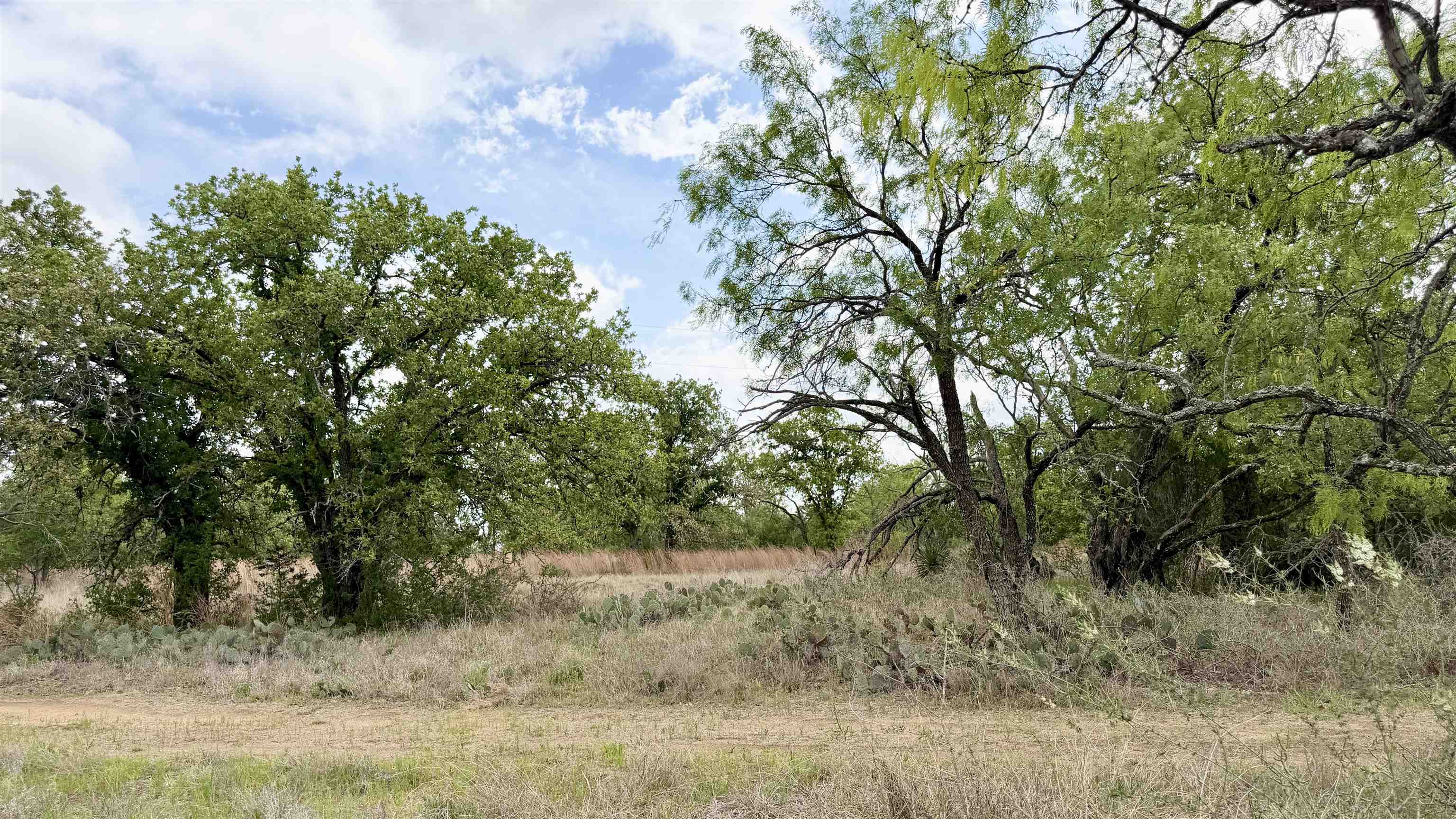 Lot 104 Ridgemont Kingsland, TX 78639 - Photo 9 of 9