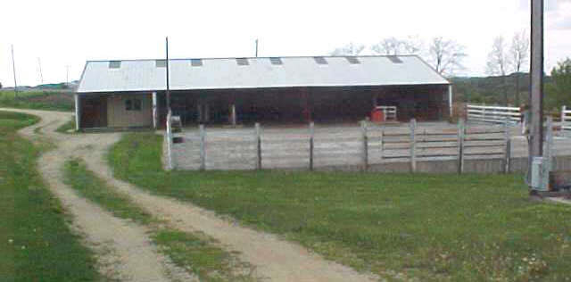 16976 West Lanark Road Forreston, IL 61030 - Photo 3 of 6 a view of a terrace with yard