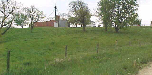 16976 West Lanark Road Forreston, IL 61030 - Photo 6 of 6 a backyard of a house with lots of green space