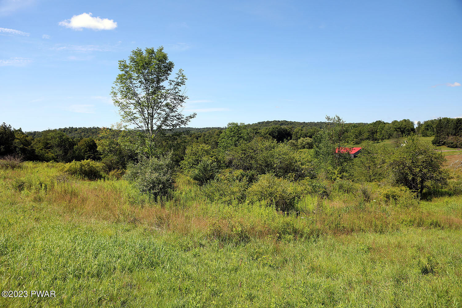 178 Baldwin Hill Road Damascus, PA 18415 - Photo 22 of 38