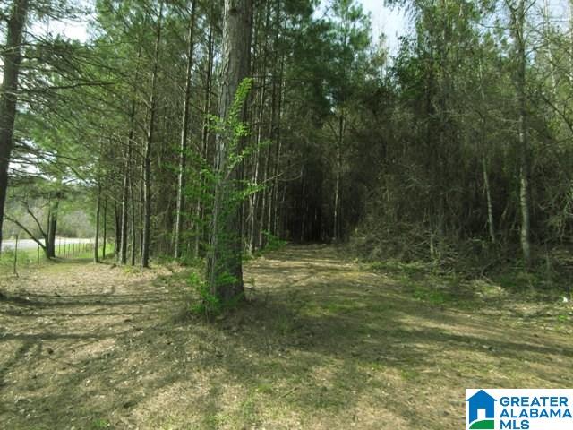 229 County Road, Unit 29 Thorsby, AL 35171 - Photo 4 of 23