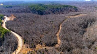 0 Whiteoak Road Stewart, TN 37175 - Photo 11 of 28 a view of a dry yard with green space