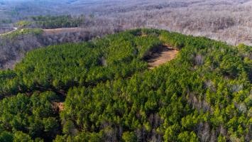 0 Whiteoak Road Stewart, TN 37175 - Photo 12 of 28 a view of a garden with a building