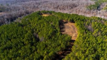 0 Whiteoak Road Stewart, TN 37175 - Photo 13 of 28 a view of a garden