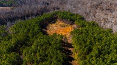 0 Whiteoak Road Stewart, TN 37175 - Photo 16 of 28 a view of a yard