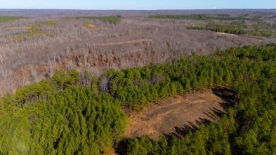 0 Whiteoak Road Stewart, TN 37175 - Photo 17 of 28 a view of a yard with an outdoor space and trees