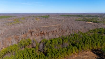 0 Whiteoak Road Stewart, TN 37175 - Photo 18 of 28 a view of mountain with lush green forest