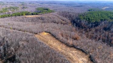 0 Whiteoak Road Stewart, TN 37175 - Photo 2 of 28 a view of a dry yard with trees
