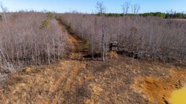 0 Whiteoak Road Stewart, TN 37175 - Photo 23 of 28 a view of a backyard