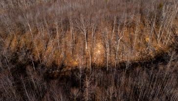 0 Whiteoak Road Stewart, TN 37175 - Photo 24 of 28