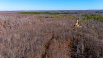0 Whiteoak Road Stewart, TN 37175 - Photo 25 of 28 a view of a lake with a room