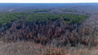 0 Whiteoak Road Stewart, TN 37175 - Photo 3 of 28 a view of a lush green field