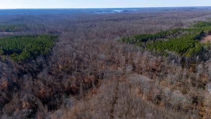 0 Whiteoak Road Stewart, TN 37175 - Photo 4 of 28 a view of a lush green field