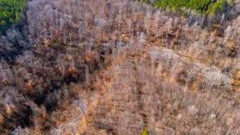 0 Whiteoak Road Stewart, TN 37175 - Photo 5 of 28 a view of a dry yard