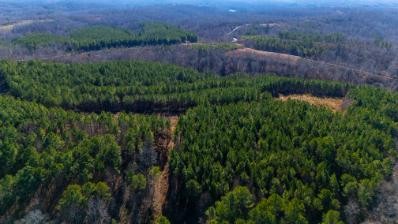 0 Whiteoak Road Stewart, TN 37175 - Photo 6 of 28