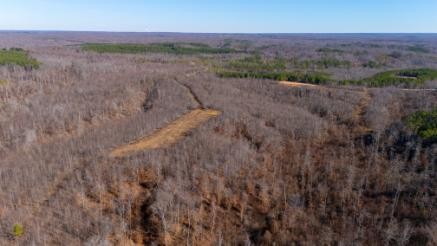 0 Whiteoak Road Stewart, TN 37175 - Photo 8 of 28 a view of a dry yard with wooden floor and fence