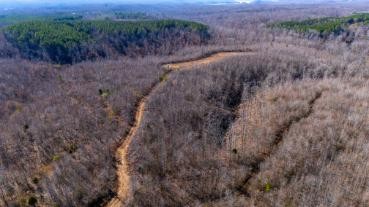 0 Whiteoak Road Stewart, TN 37175 - Photo 10 of 28 a view of a dry field with trees