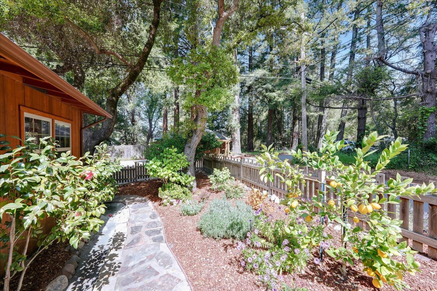 77 Forest Road Mount Hermon, CA 95041 - Photo 40 of 46 a backyard of a house with a garden and plants