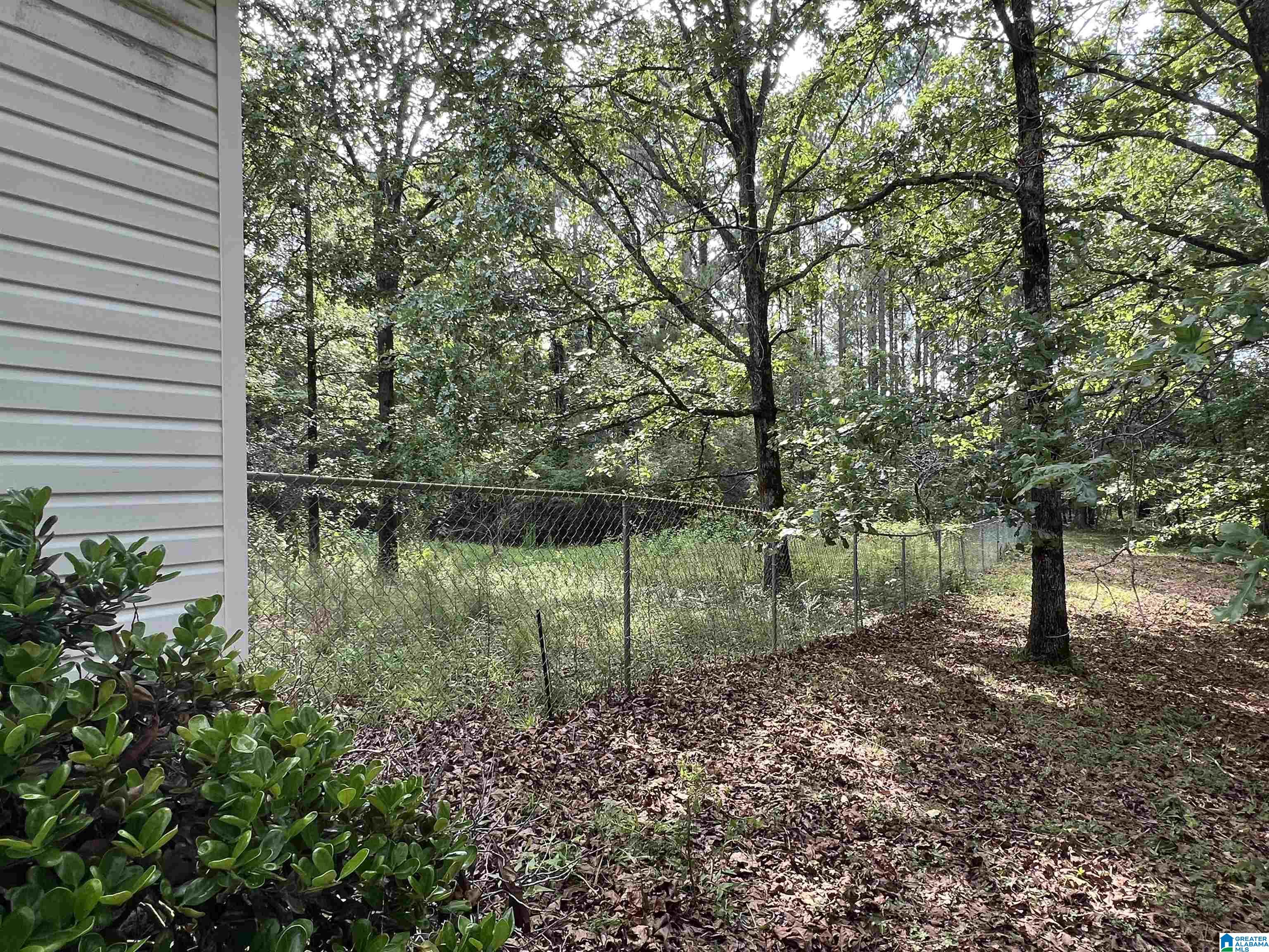 330 Mitchellville Road Ohatchee, AL 36271 - Photo 2 of 10