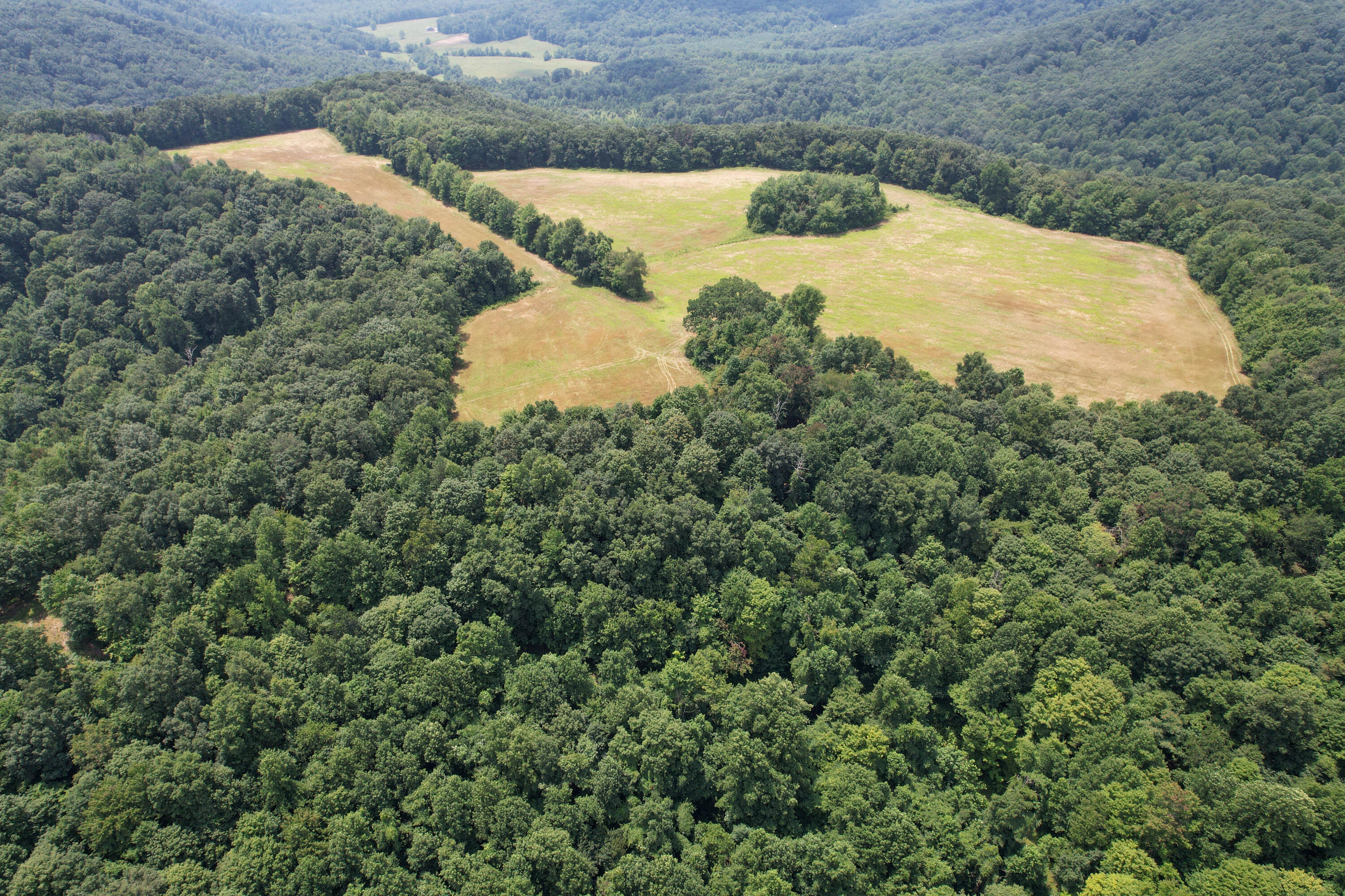 Tbd Mt Vernon Road Hillsboro, KY 41049 - Photo 1 of 27 DJI_0686