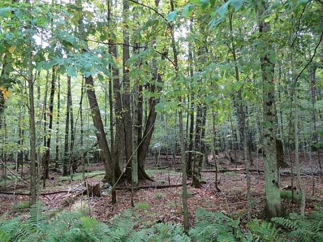 Lot 3 Timber Wolf Road Presque Isle, WI 54557 - Photo 17 of 19 Gallery Image 17