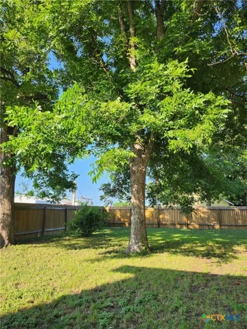 a view of a yard with a tree