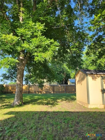 a view of a yard with a tree