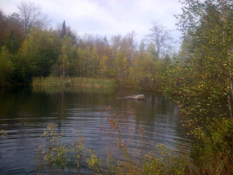 189 Dudley Road Bryant Pond, ME 04219 - Photo 7 of 11 Other. One of the two ponds on the...