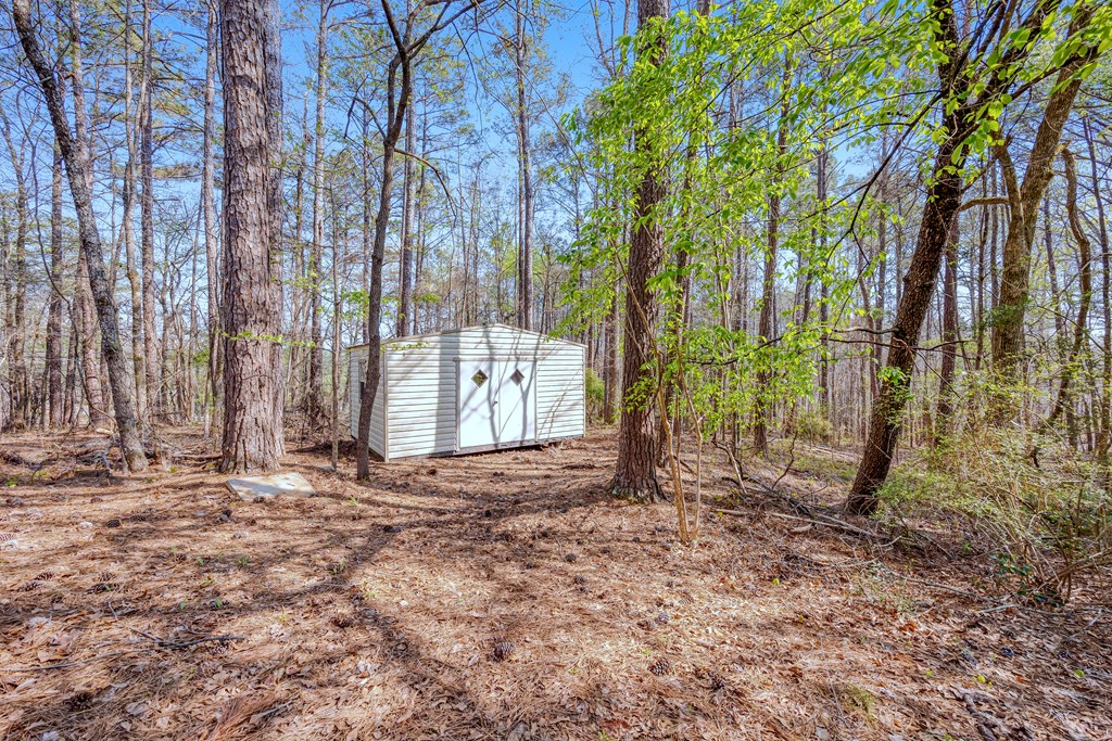 3330 Fortson Road Fortson, GA 31808 - Photo 17 of 46 a view of a backyard of the house