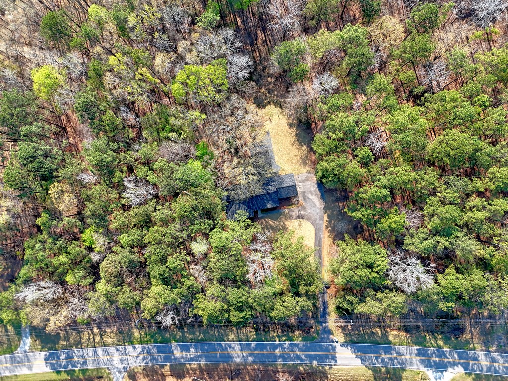 3330 Fortson Road Fortson, GA 31808 - Photo 5 of 46 a plant that is in middle of forest